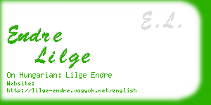 endre lilge business card